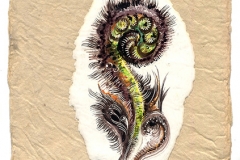Fiddle Head