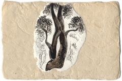 Intertwined Dream