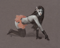 The Cat Drawing