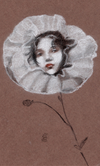 The Flower Head