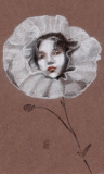 The Flower Head