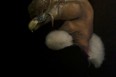 Brad Woodfin, Black Mass