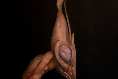 Brad Woodfin, Good Blood