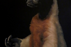 Brad Woodfin, My Lowlife