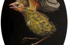 Brad Woodfin, Red and Black