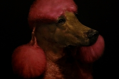 Brad Woodfin, Clémence