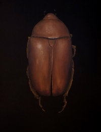 Brad Woodfin, Amulet