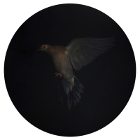 Brad Woodfin, Fuck Toute