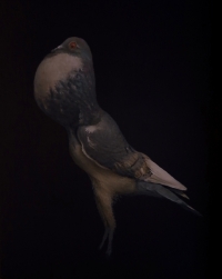 Brad Woodfin, Prized Possession