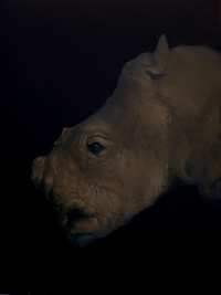 Brad Woodfin, Too Little, Too Late