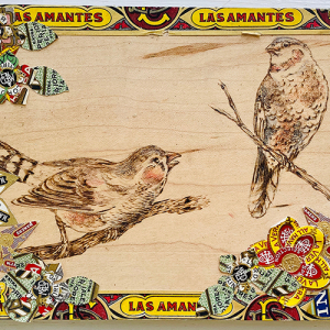 "Beautiful Birds" by Jason Houchen