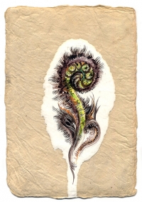 Fiddle Head