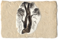 Intertwined Dream
