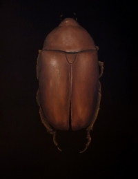 Brad Woodfin, Amulet