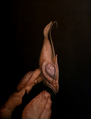Brad Woodfin, Good Blood