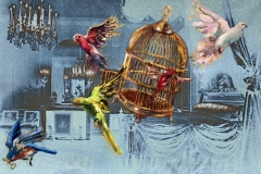 Nicole Etienne, The Escape Artists