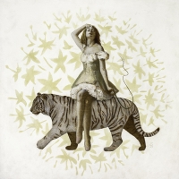 Deirdre Sullivan-Beeman, Tiger Girl