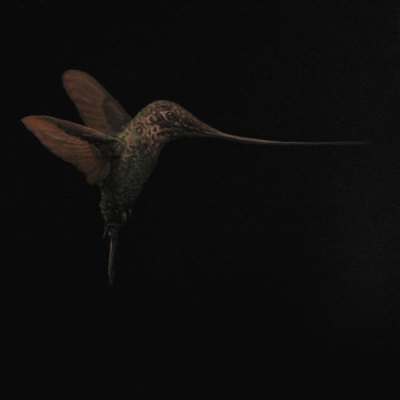 Hummingbird