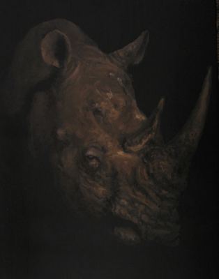 Rhinoceros
