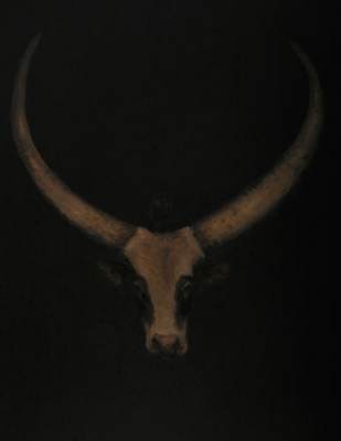Watusi