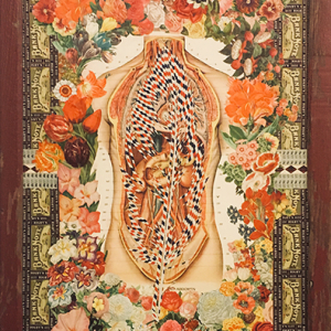 "Beautiful Anatomy Feather" by Jason Houchen
